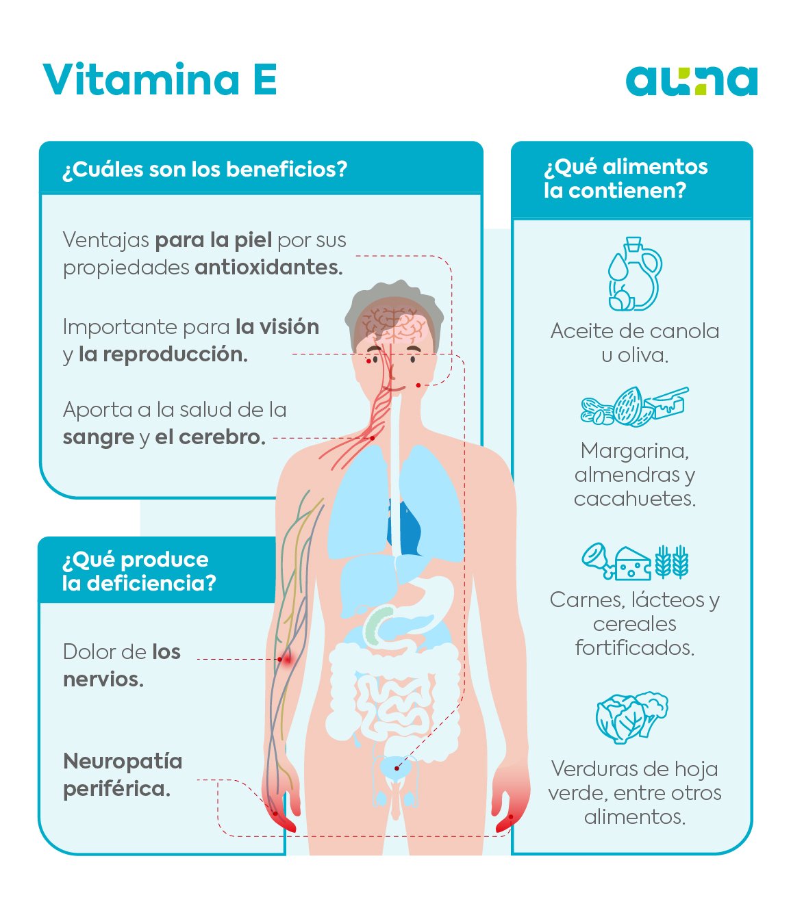 ¿Qué vitaminas a y e son mejores para la salud de la piel?